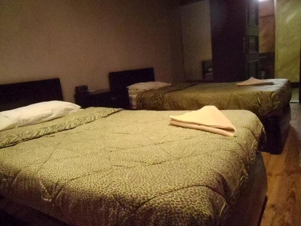 Freedom Hostel Kairo Bagian luar foto